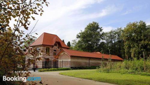 Wohnung mit w-lan und Terrasse. Haustier erlaubt