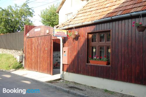 Sighisoara is votrer! Honden welkom