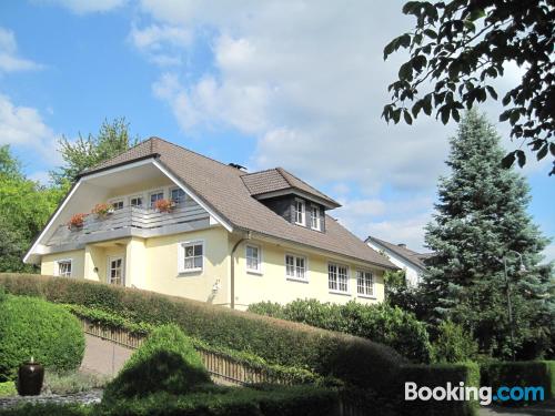 Apartment with wifi. Enjoy your swimming pool in Wittlich!