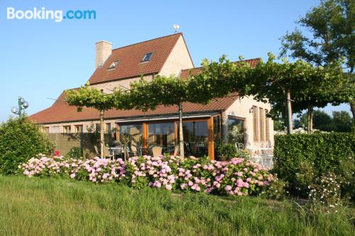 Ferienwohnung mit w-lan und Terrasse. Für Gruppen