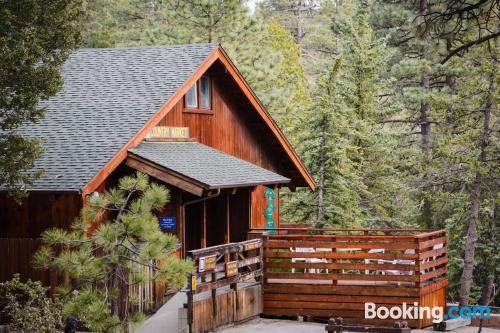 Apartamento com Internet em Idyllwild