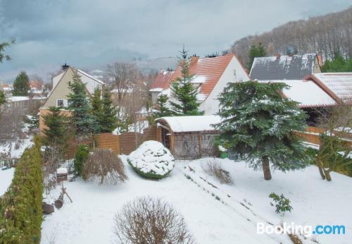 Apartamento apto para perros en Wałbrzych con internet