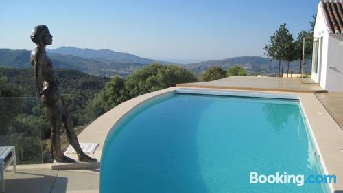 Tiny home. Pool!