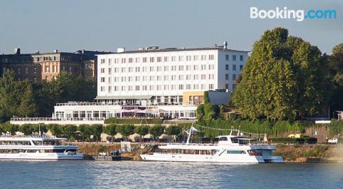 Bonn est votre. Terrasse et Wifi!