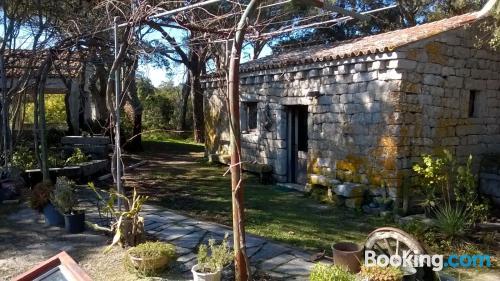 Home for two people in Tempio pausania. Pet friendly!