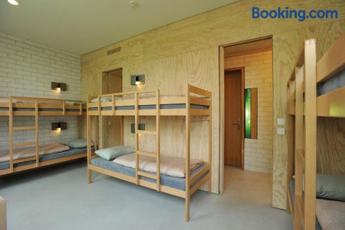 Cama en habitación compartida de 6 camas